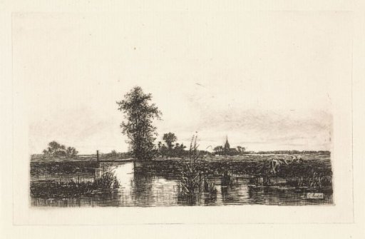 Polder landscape