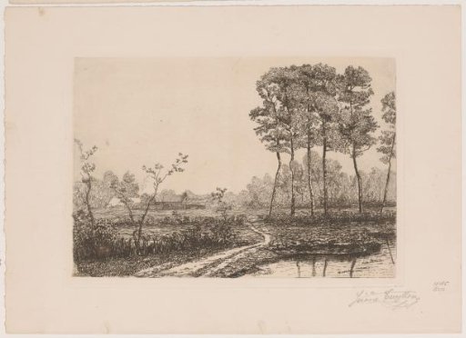 Landscape with a row of birches