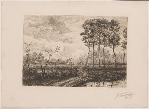 Landscape with a row of birches