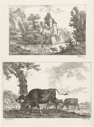 Landscape and bull