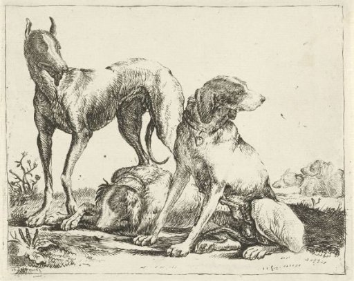 Three Dogs
