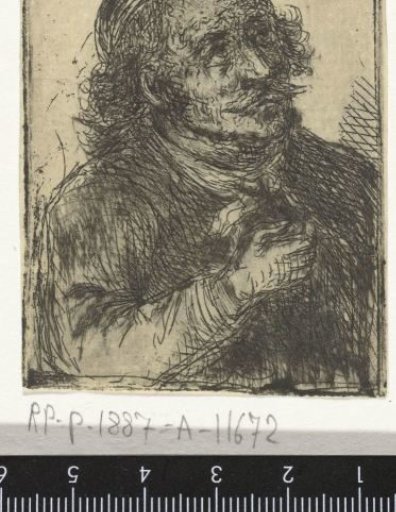 Adult Man