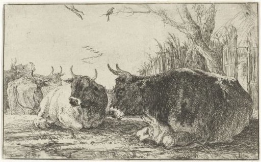 Resting cows