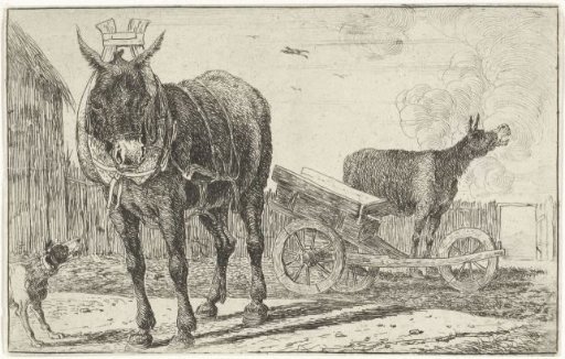 Two donkeys
