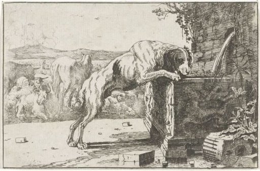 Dog at a fountain