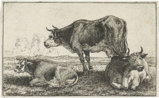 Three cows