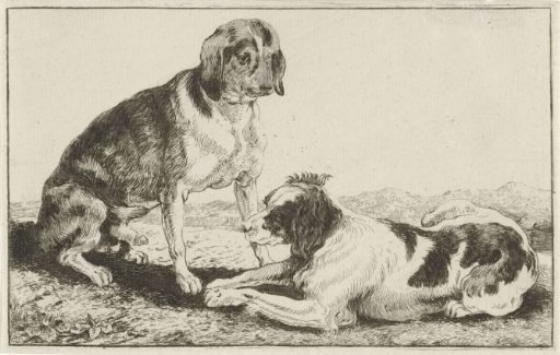 Two resting dogs