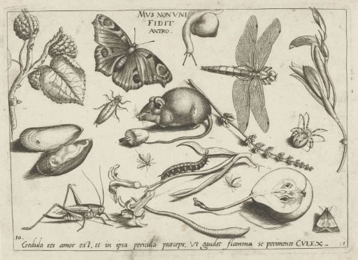 Animals, plants and fruits around a mouse
