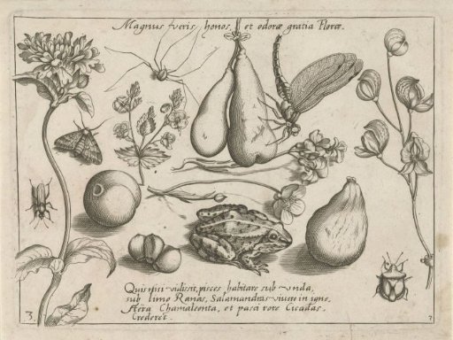 Animals, flowers and fruits around hanging pears
