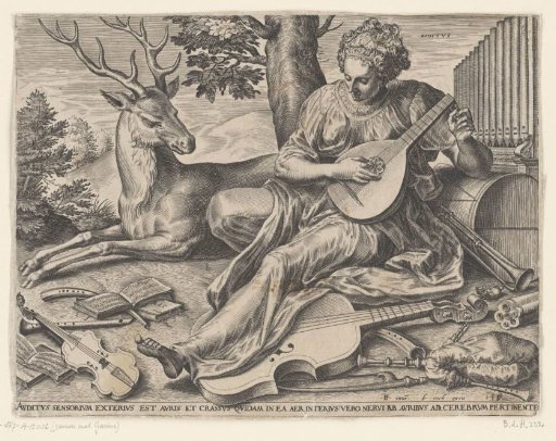 Hearing (Auditus)
