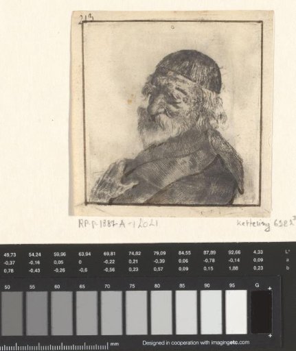 Portrait of an old man