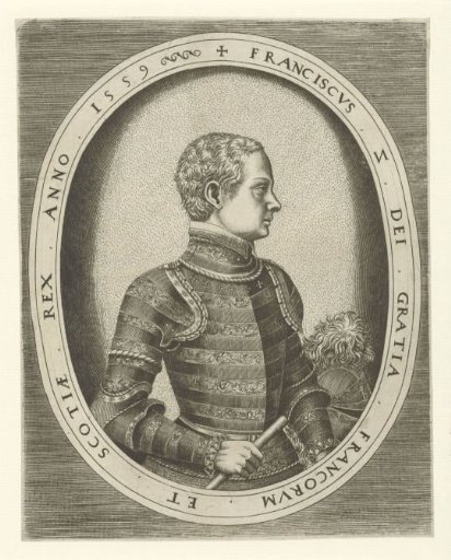 Portrait of King Francis II of France