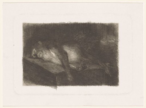 Lying, sleeping monkey