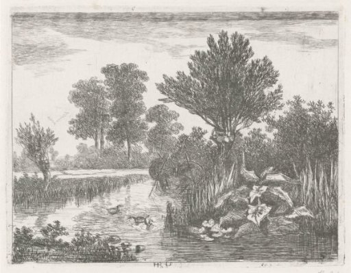 Ducks in a ditch