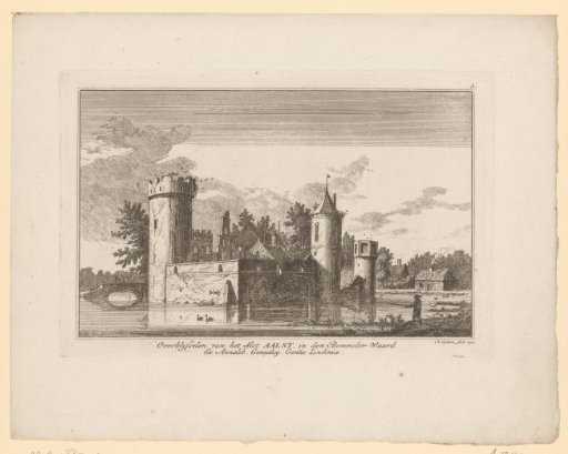 View of the Ruins of Aalst Castle