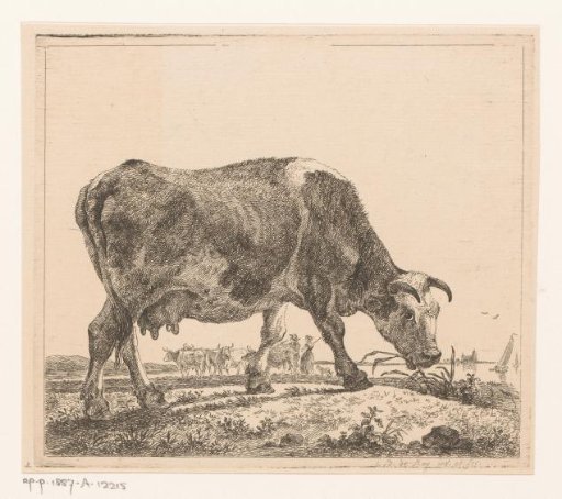 Grazing Cow by a River