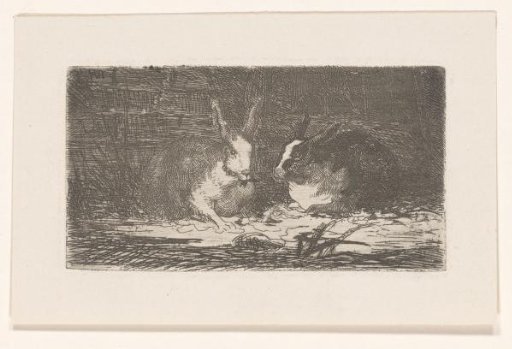 Two Rabbits
