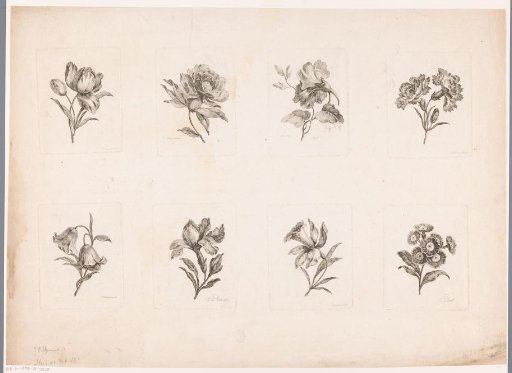 Eight flowers