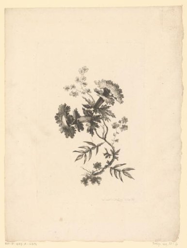 Trumpet-shaped flowers