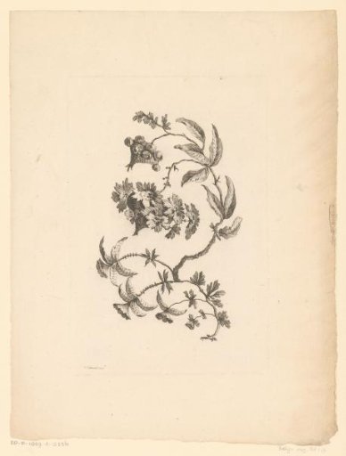 Lantern-shaped flowers