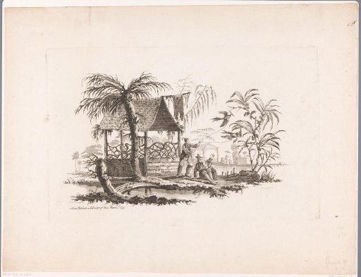 Man with birds on ropes