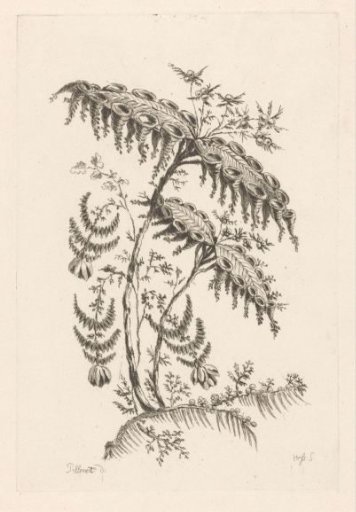Leaves with horn shapes