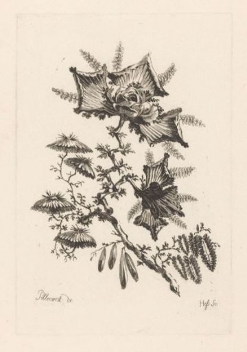 Flowers in fan shape