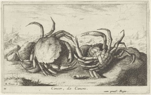 Two crabs on the beach