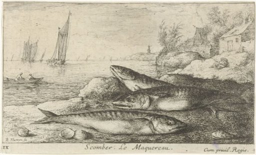 Three mackerel on the beach