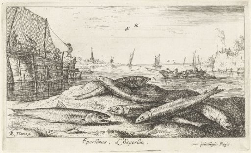 Six smelts on the beach