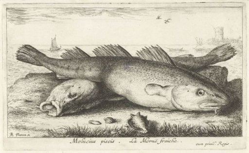 Two Codfish on the Beach