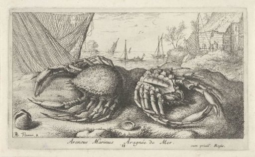 Two spider crabs by a fishing net