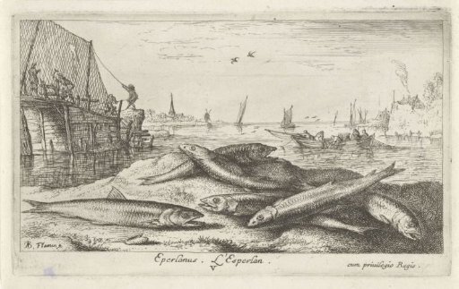 Six Sprats on the Beach