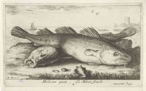 Two Codfish on the Beach