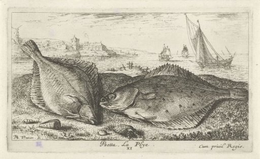 Two Flatfish on the Beach