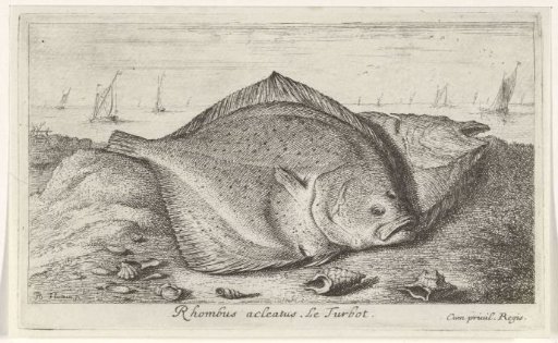 Two Turbots on the Beach