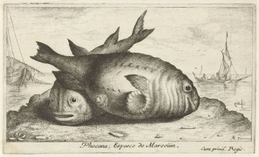 Two porpoises on the beach