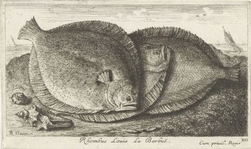 Three grayling on the beach