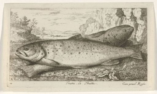 Two trout on a riverbank