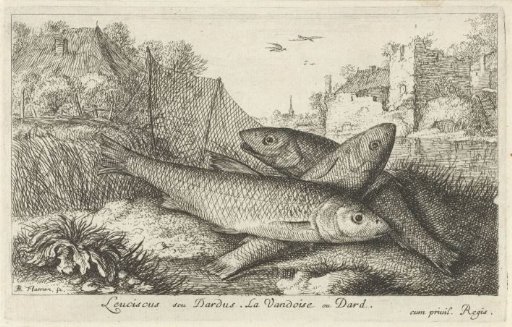 Three gudgeon on a riverbank