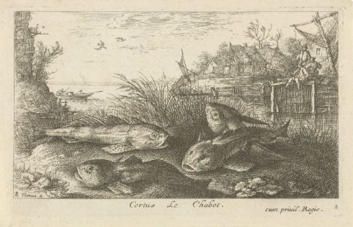 Four roach on a riverbank