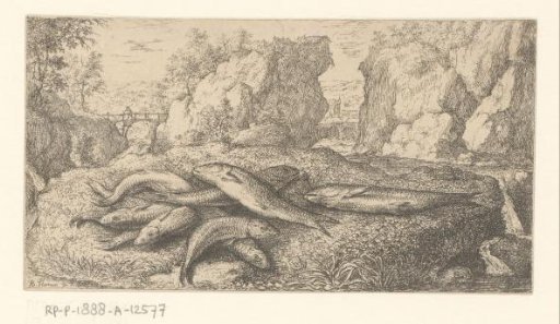 Gudgeons on a riverbank