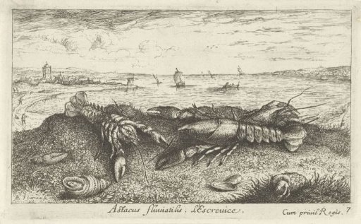 River landscape with crayfish in the foreground