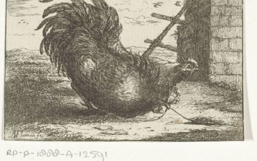 Rooster with a stalk of corn
