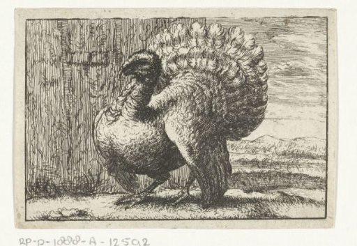 Landscape with a turkey