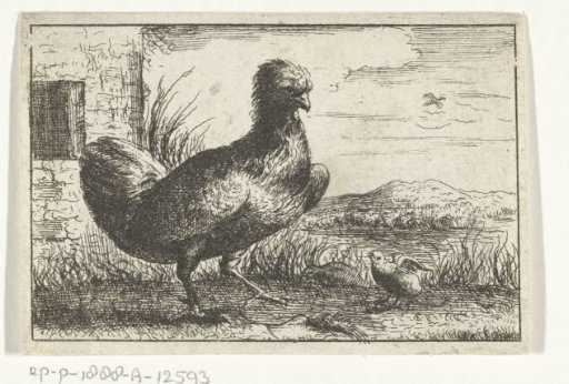 Hen with a chick