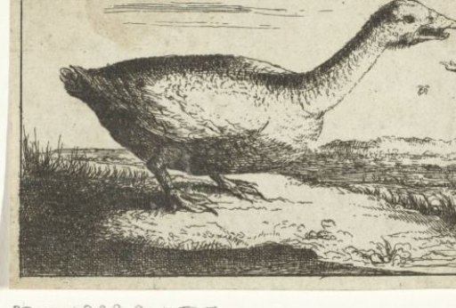 Landscape with a wild goose