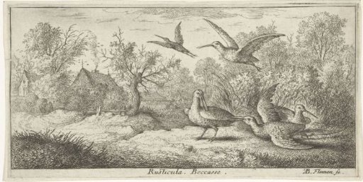 Landscape with woodcocks