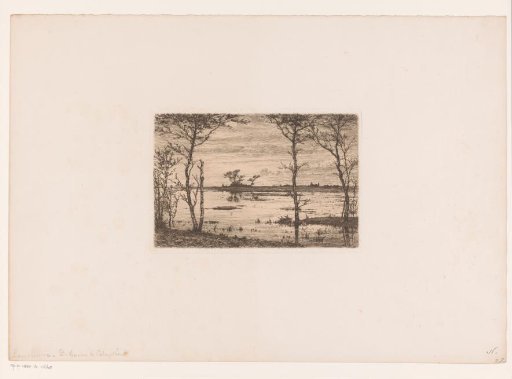View of the heath ponds near Kalmthout