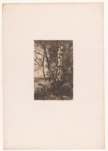 Landscape with a birch near Brasschaat